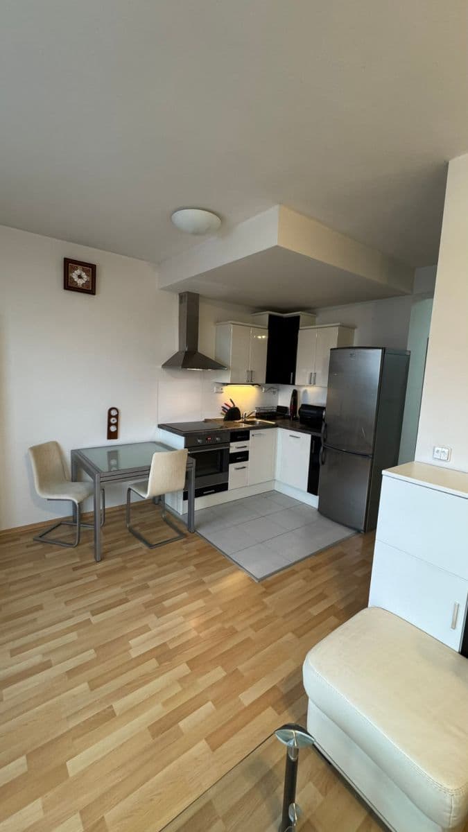 1 bedroom with open-plan kitchen flat to rent, 50 m², U Leskavy, Brno, Jihomoravský Region 1 bedroom with open-plan kitchen flat to rent, 50 m², U Leskavy, Brno, Jihomoravský Region