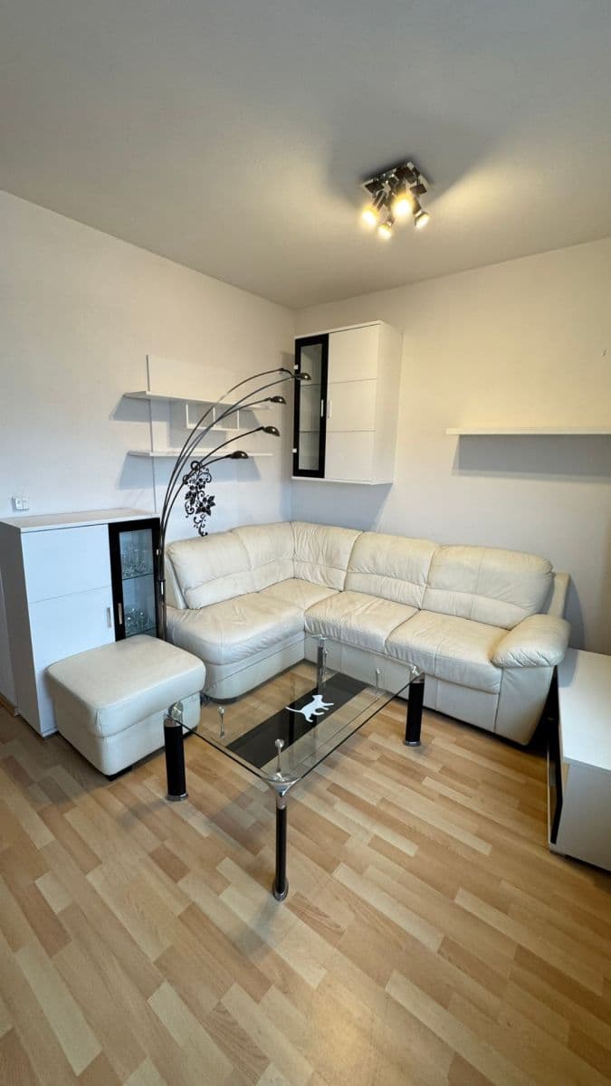 1 bedroom with open-plan kitchen flat to rent, 50 m², U Leskavy, Brno, Jihomoravský Region 1 bedroom with open-plan kitchen flat to rent, 50 m², U Leskavy, Brno, Jihomoravský Region