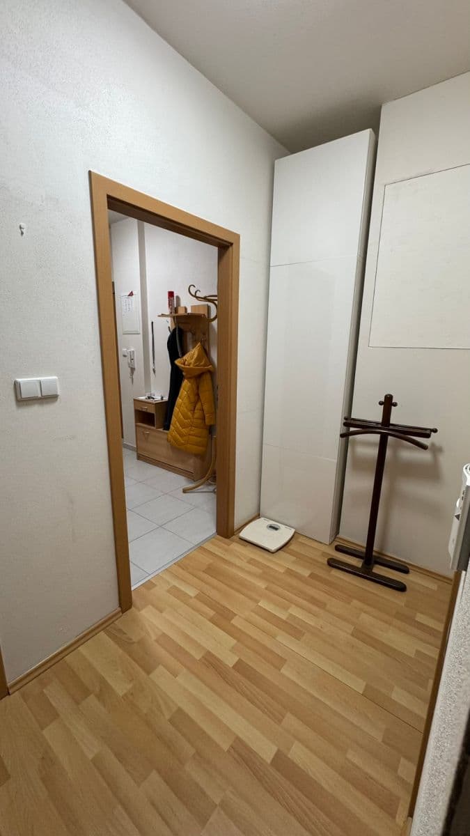 1 bedroom with open-plan kitchen flat to rent, 50 m², U Leskavy, Brno, Jihomoravský Region 1 bedroom with open-plan kitchen flat to rent, 50 m², U Leskavy, Brno, Jihomoravský Region