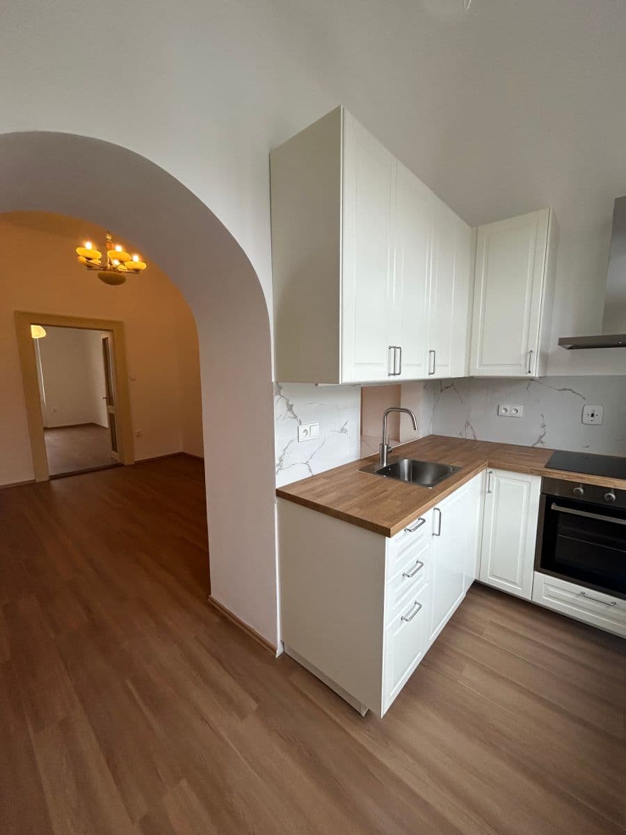 1 bedroom with open-plan kitchen flat to rent, 45 m², Bubenská, Prague, Prague 1 bedroom with open-plan kitchen flat to rent, 45 m², Bubenská, Prague, Prague