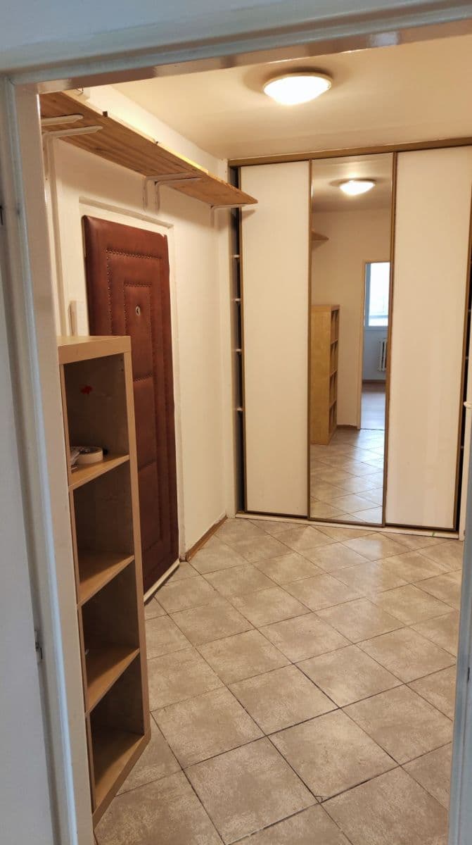 1 bedroom with open-plan kitchen flat to rent, 42 m², Mezilesní, Prague, Prague 1 bedroom with open-plan kitchen flat to rent, 42 m², Mezilesní, Prague, Prague