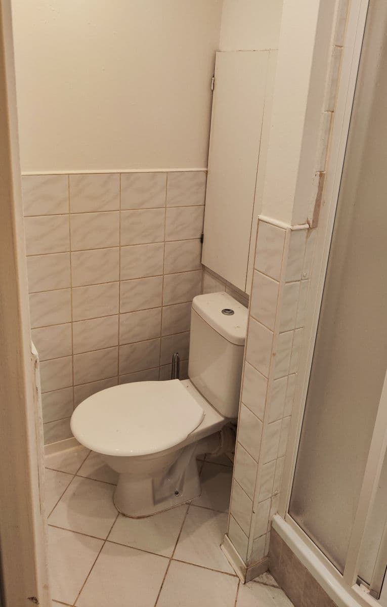 1 bedroom with open-plan kitchen flat to rent, 42 m², Mezilesní, Prague, Prague 1 bedroom with open-plan kitchen flat to rent, 42 m², Mezilesní, Prague, Prague