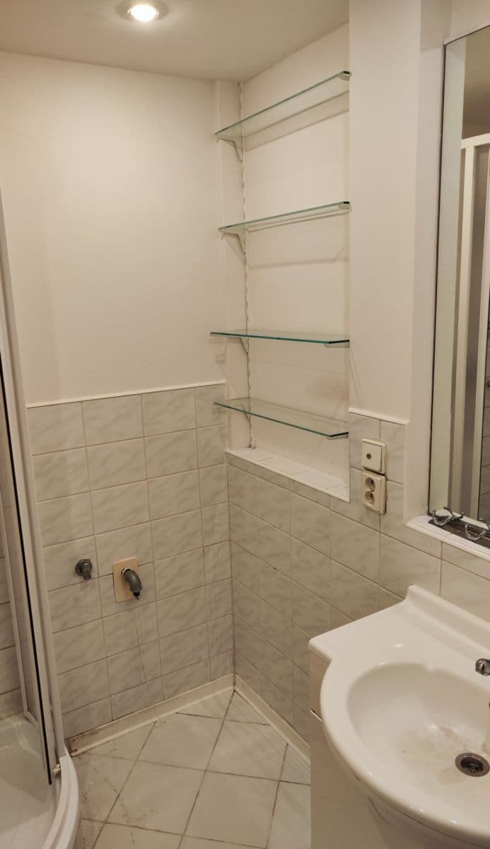 1 bedroom with open-plan kitchen flat to rent, 42 m², Mezilesní, Prague, Prague 1 bedroom with open-plan kitchen flat to rent, 42 m², Mezilesní, Prague, Prague