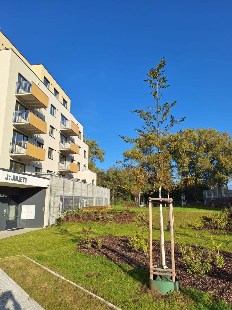 1 bedroom with open-plan kitchen flat to rent, 52 m², Sedlářova, Prague, Prague 1 bedroom with open-plan kitchen flat to rent, 52 m², Sedlářova, Prague, Prague