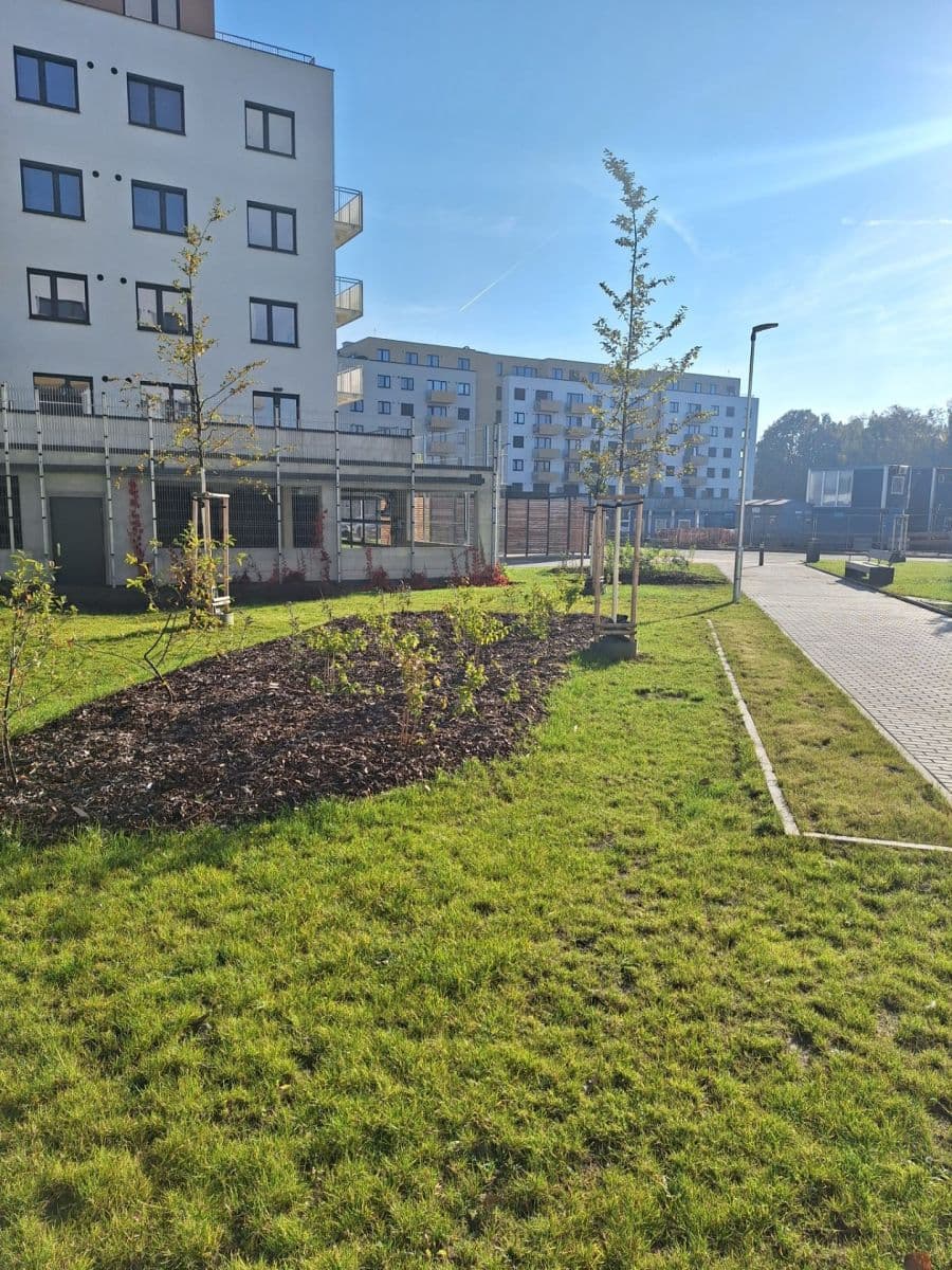 1 bedroom with open-plan kitchen flat to rent, 52 m², Sedlářova, Prague, Prague 1 bedroom with open-plan kitchen flat to rent, 52 m², Sedlářova, Prague, Prague