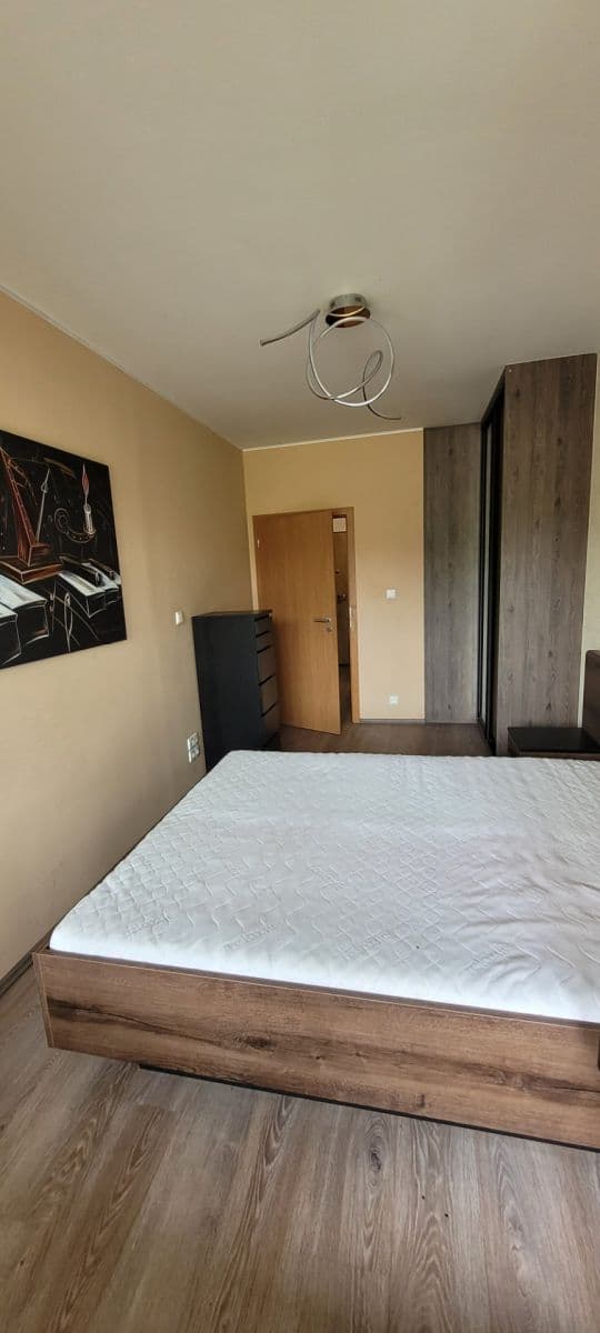 1 bedroom with open-plan kitchen flat to rent, 51 m², Soukalova, Prague, Prague 1 bedroom with open-plan kitchen flat to rent, 51 m², Soukalova, Prague, Prague