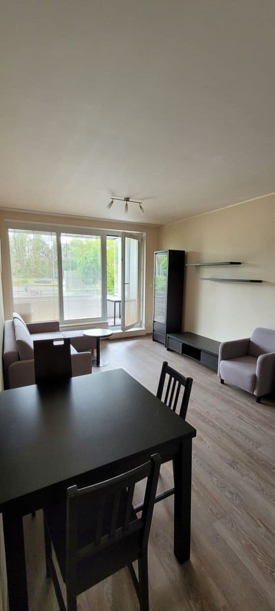 1 bedroom with open-plan kitchen flat to rent, 51 m², Soukalova, Prague, Prague 1 bedroom with open-plan kitchen flat to rent, 51 m², Soukalova, Prague, Prague