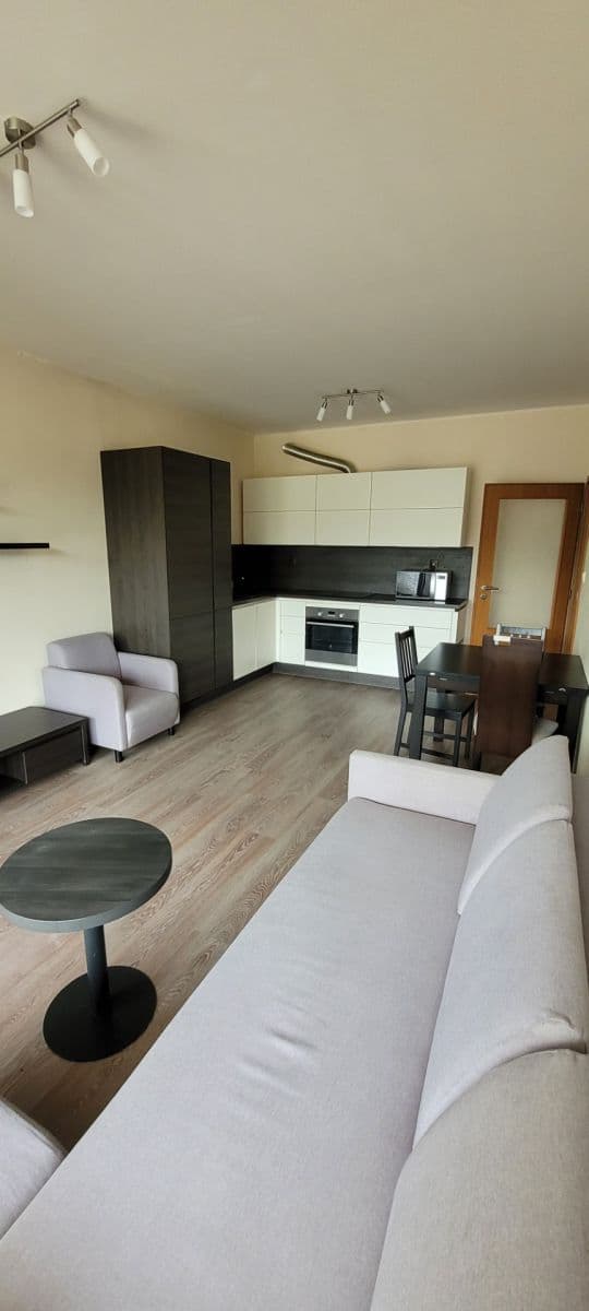 1 bedroom with open-plan kitchen flat to rent, 51 m², Soukalova, Prague, Prague 1 bedroom with open-plan kitchen flat to rent, 51 m², Soukalova, Prague, Prague