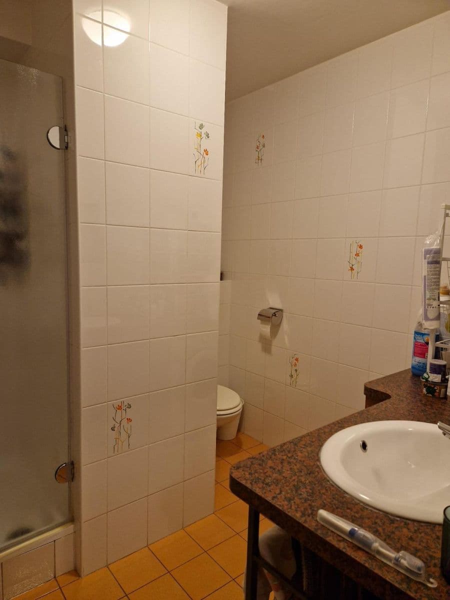 2 bedroom flat for sale, 54 m², Děkanská vinice Ⅱ, Prague, Prague 2 bedroom flat for sale, 54 m², Děkanská vinice Ⅱ, Prague, Prague