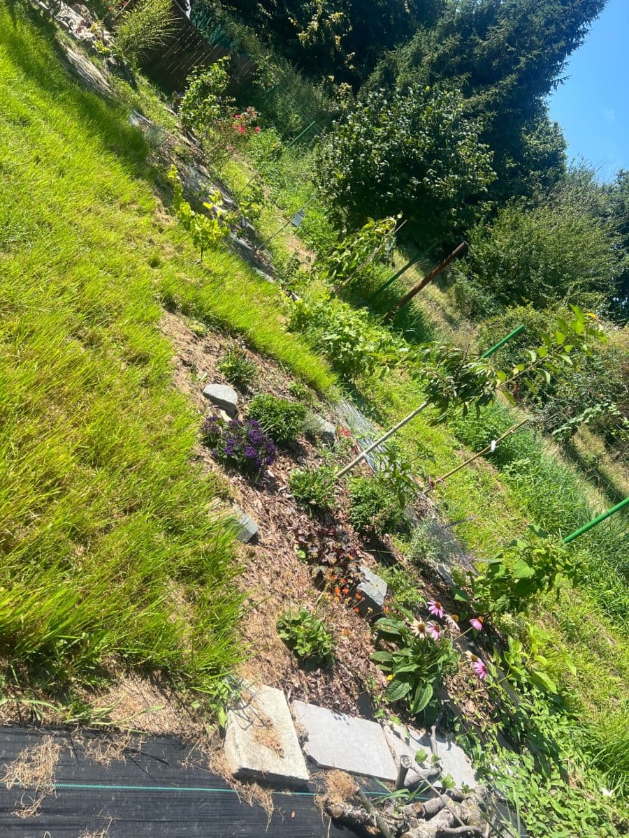 plot for sale, 936 m², Doubrava, Moravskoslezský Region plot for sale, 936 m², Doubrava, Moravskoslezský Region