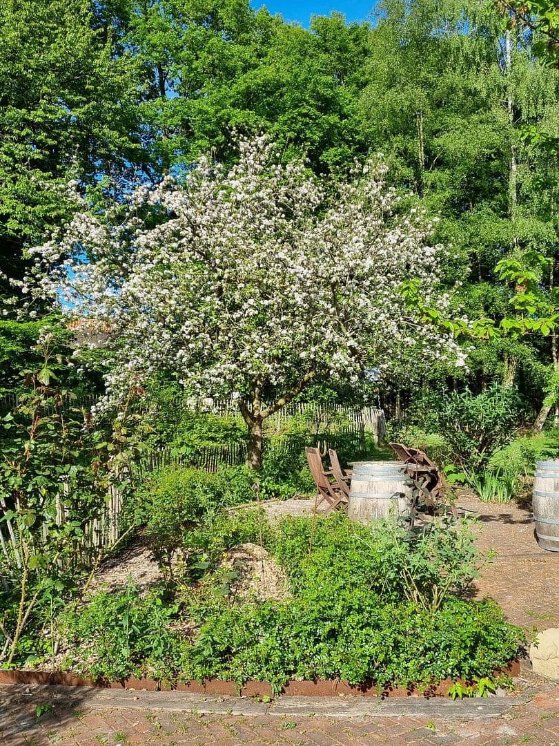 house for sale, 260 m², Oldenburg (Oldb), Lower Saxony house for sale, 260 m², Oldenburg (Oldb), Lower Saxony