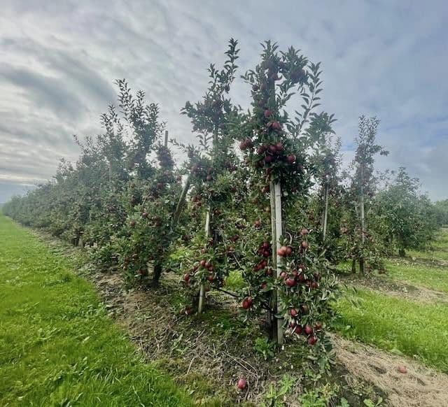 1 bedroom flat for sale, 61 m², Hollern-Twielenfleth, Lower Saxony 1 bedroom flat for sale, 61 m², Hollern-Twielenfleth, Lower Saxony