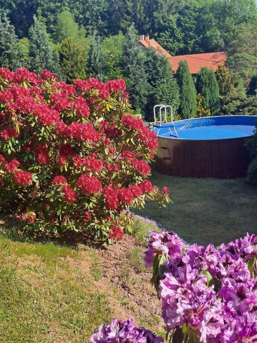 recreational property to rent, 0 m², Skuhrov, Liberecký Region recreational property to rent, 0 m², Skuhrov, Liberecký Region