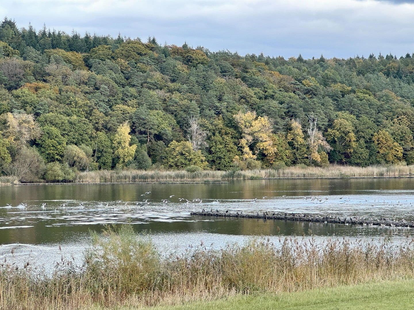 house to rent, 134 m², Elbuferstraße 51, Tespe, Lower Saxony house to rent, 134 m², Elbuferstraße 51, Tespe, Lower Saxony