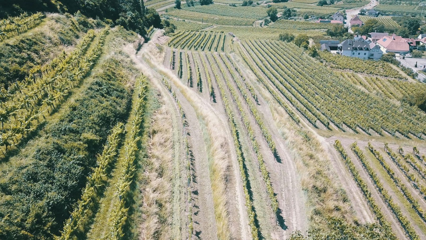 plot for sale, 3,596 m², Mitterarnsdorf, Lower Austria plot for sale, 3,596 m², Mitterarnsdorf, Lower Austria