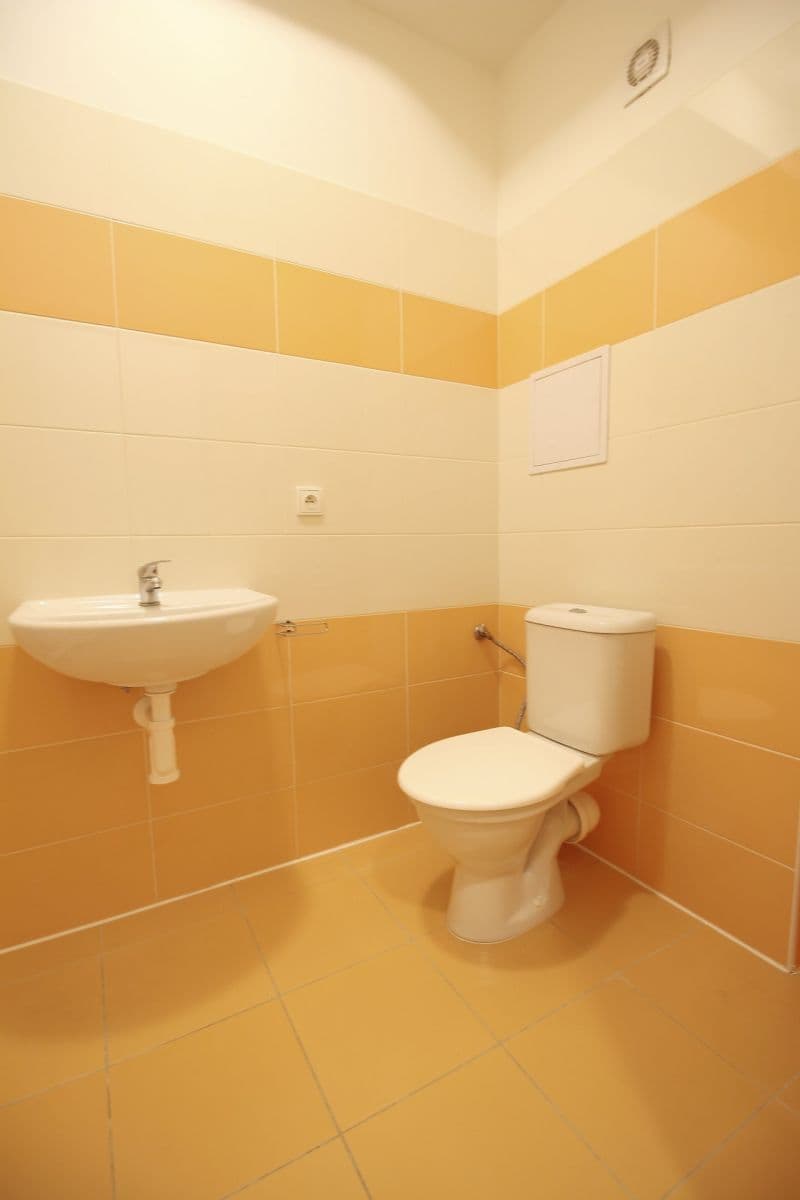 Studio flat to rent, 27 m², Otvovice, Středočeský Region Studio flat to rent, 27 m², Otvovice, Středočeský Region