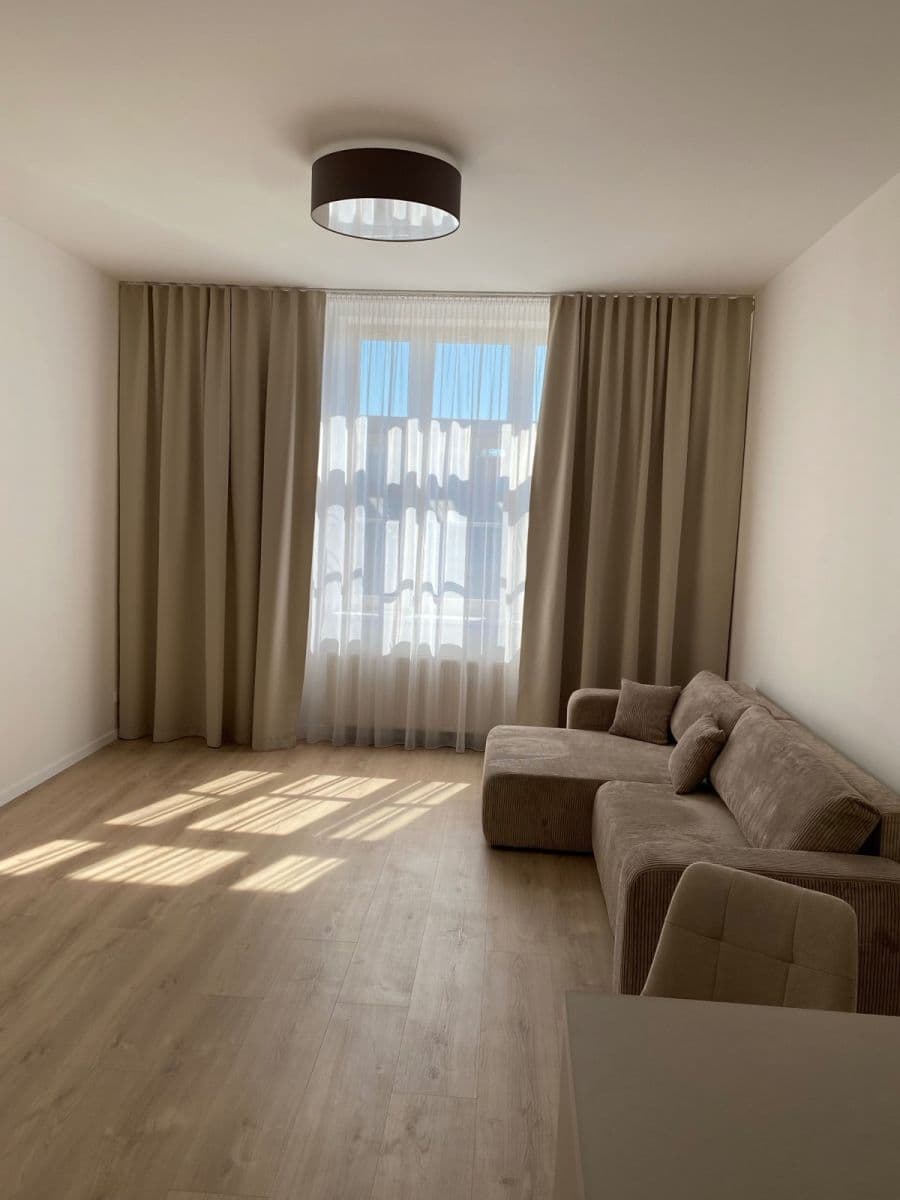 1 bedroom with open-plan kitchen flat to rent, 60 m², U Zvonařky, Prague, Prague 1 bedroom with open-plan kitchen flat to rent, 60 m², U Zvonařky, Prague, Prague