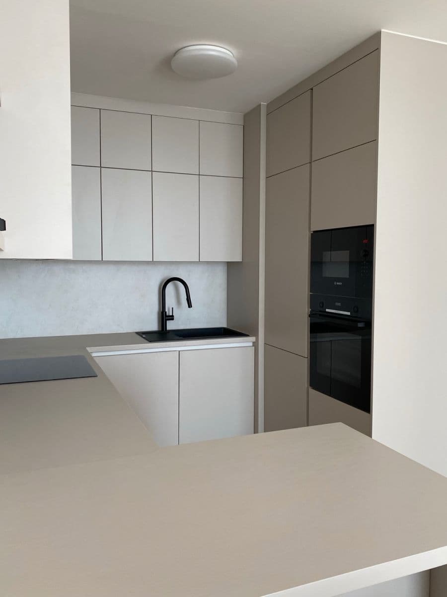 1 bedroom with open-plan kitchen flat to rent, 60 m², U Zvonařky, Prague, Prague 1 bedroom with open-plan kitchen flat to rent, 60 m², U Zvonařky, Prague, Prague