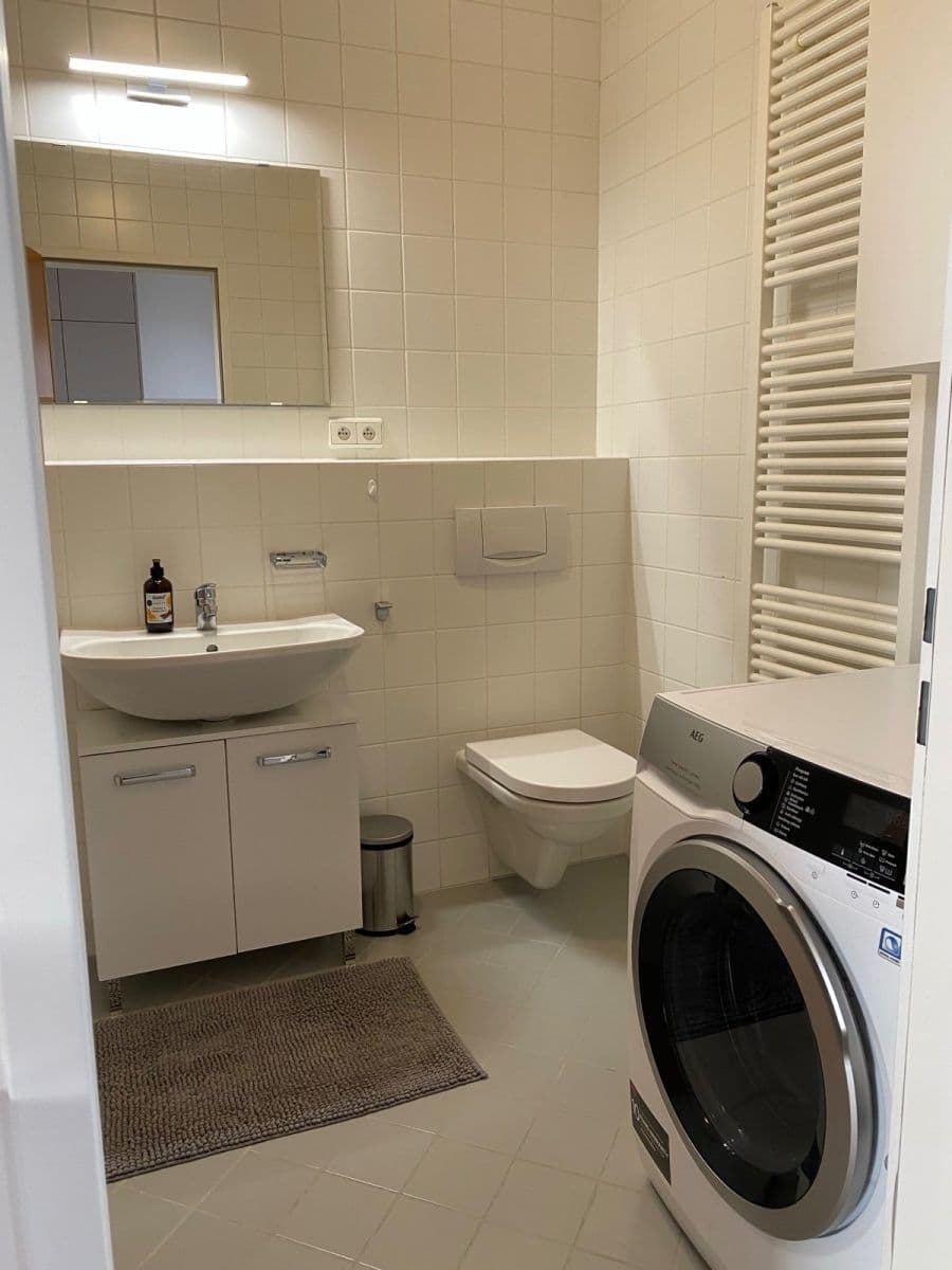 1 bedroom with open-plan kitchen flat to rent, 60 m², U Zvonařky, Prague, Prague 1 bedroom with open-plan kitchen flat to rent, 60 m², U Zvonařky, Prague, Prague