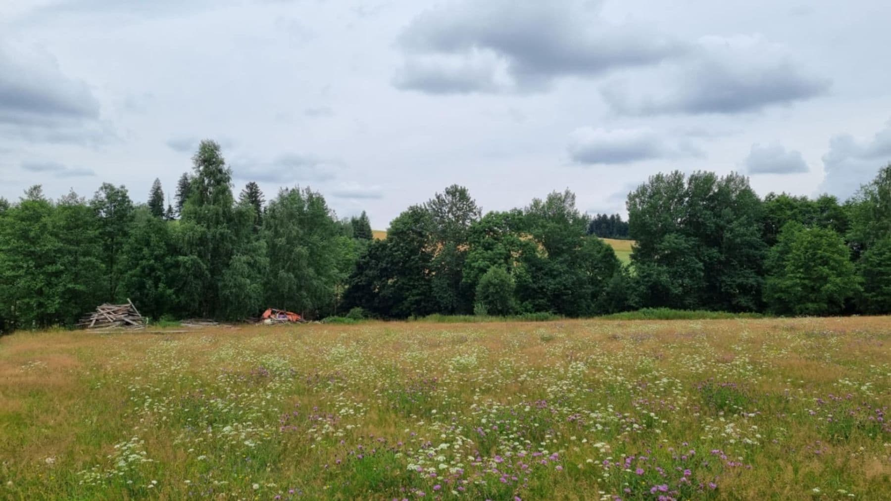 plot for sale, 9,989 m², Pěčín, Královéhradecký Region plot for sale, 9,989 m², Pěčín, Královéhradecký Region