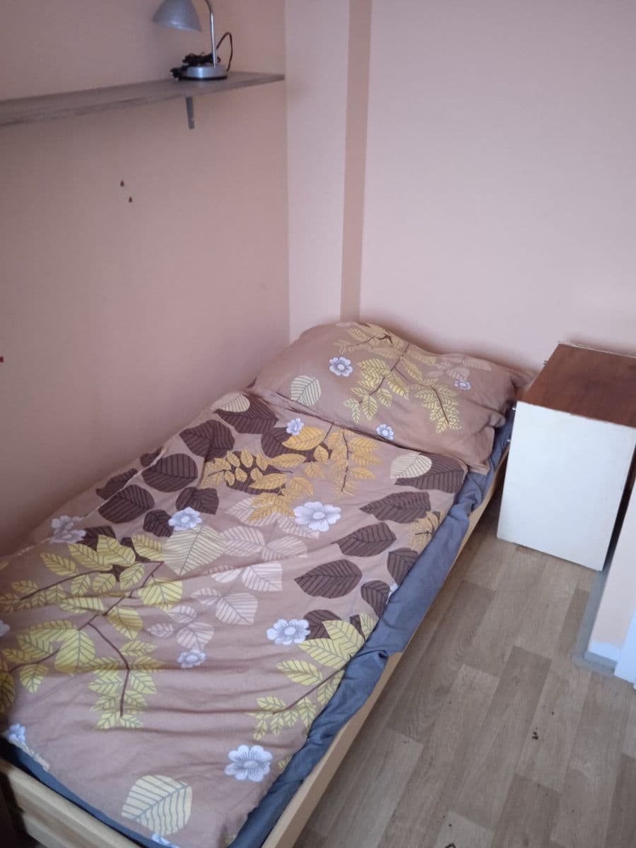 1 bedroom with open-plan kitchen flat to rent, 45 m², Osvračín, Plzeňský Region 1 bedroom with open-plan kitchen flat to rent, 45 m², Osvračín, Plzeňský Region