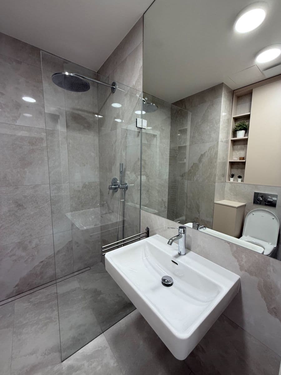 1 bedroom with open-plan kitchen flat to rent, 45 m², Vinohradská, Prague, Prague 1 bedroom with open-plan kitchen flat to rent, 45 m², Vinohradská, Prague, Prague