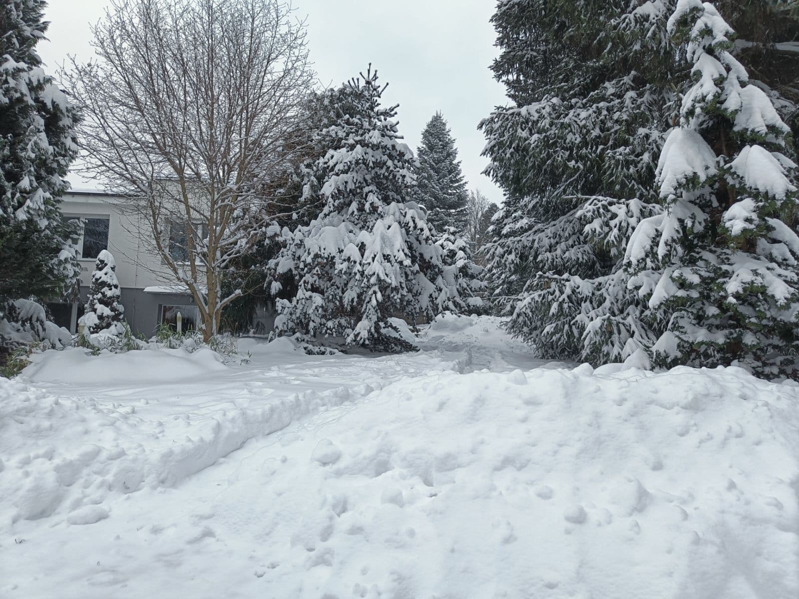 house for sale, 400 m², Trpasličí, Liberec, Liberecký Region house for sale, 400 m², Trpasličí, Liberec, Liberecký Region