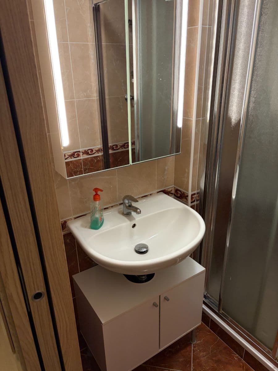 Studio flat to rent, 35 m², Laudova, Prague, Prague Studio flat to rent, 35 m², Laudova, Prague, Prague