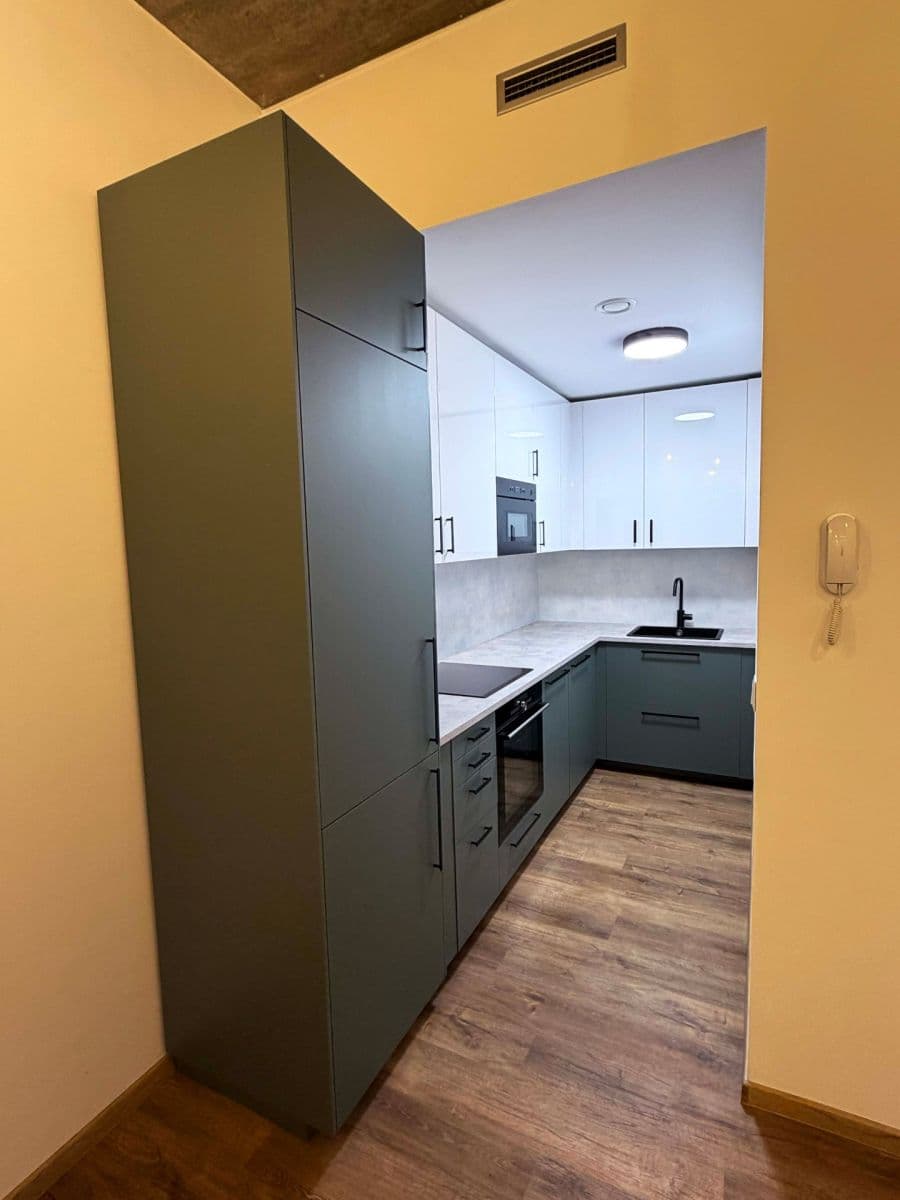 1 bedroom with open-plan kitchen flat to rent, 44 m², Bohunická, Brno, Jihomoravský Region 1 bedroom with open-plan kitchen flat to rent, 44 m², Bohunická, Brno, Jihomoravský Region