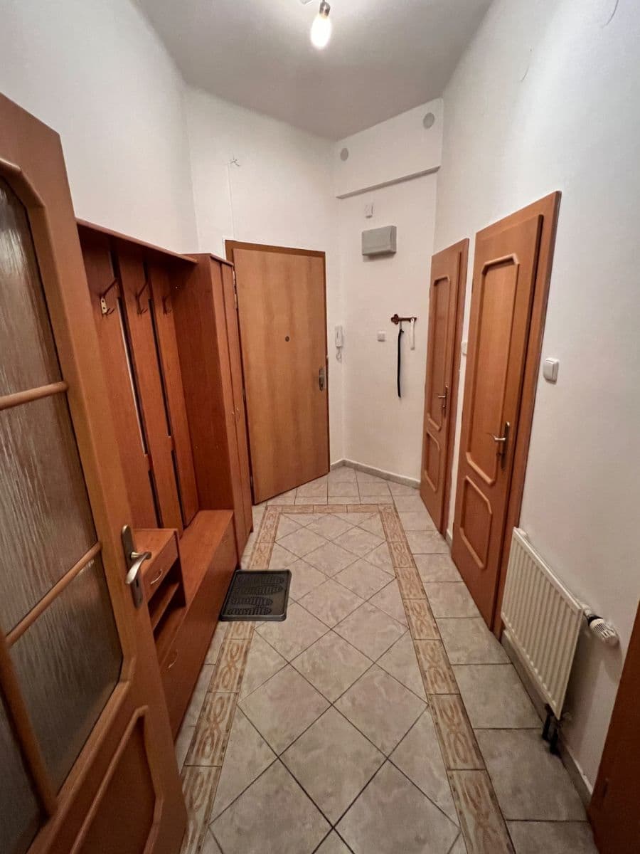 1 bedroom with open-plan kitchen flat to rent, 50 m², Na Břehu, Prague, Prague 1 bedroom with open-plan kitchen flat to rent, 50 m², Na Břehu, Prague, Prague