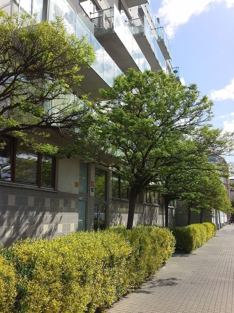 Studio flat to rent, 37 m², U Měšťanského pivovaru, Prague, Prague Studio flat to rent, 37 m², U Měšťanského pivovaru, Prague, Prague