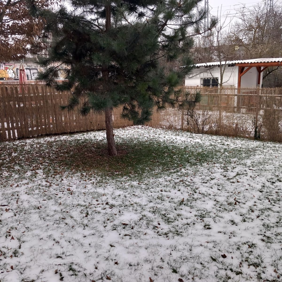 Studio flat to rent, 31 m², Stejskalova, Brno, Jihomoravský Region Studio flat to rent, 31 m², Stejskalova, Brno, Jihomoravský Region