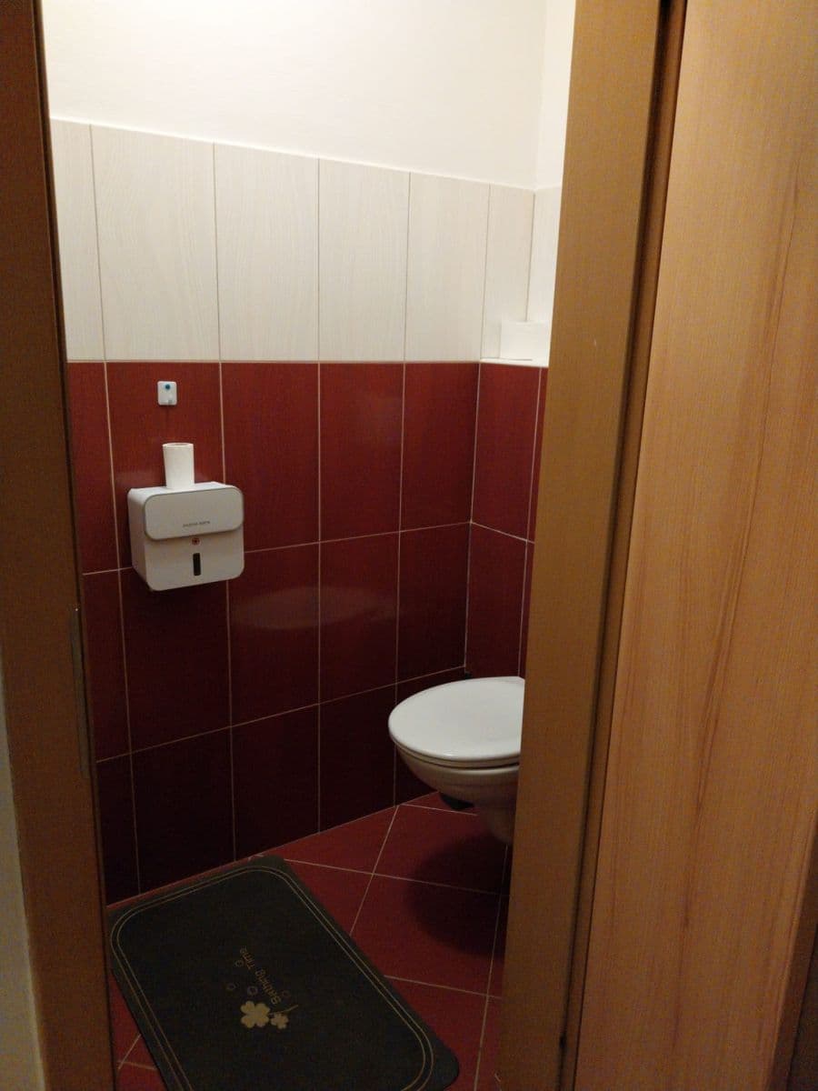 1 bedroom with open-plan kitchen flat to rent, 65 m², U Krčského nádraží, Prague, Prague 1 bedroom with open-plan kitchen flat to rent, 65 m², U Krčského nádraží, Prague, Prague