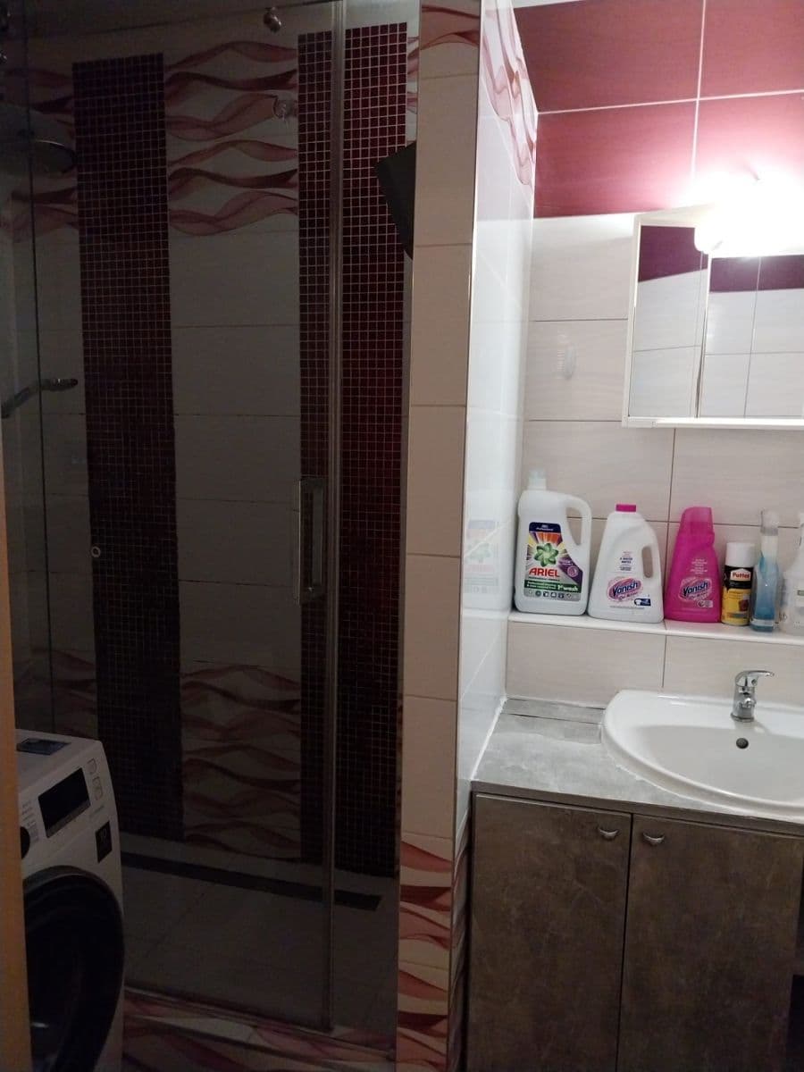 1 bedroom with open-plan kitchen flat to rent, 65 m², U Krčského nádraží, Prague, Prague 1 bedroom with open-plan kitchen flat to rent, 65 m², U Krčského nádraží, Prague, Prague