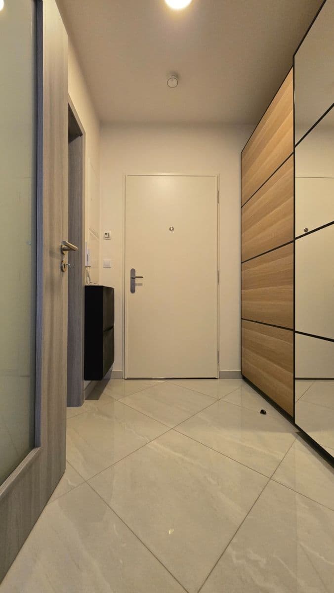 1 bedroom with open-plan kitchen flat to rent, 47 m², Drahňovická, Prague, Prague 1 bedroom with open-plan kitchen flat to rent, 47 m², Drahňovická, Prague, Prague