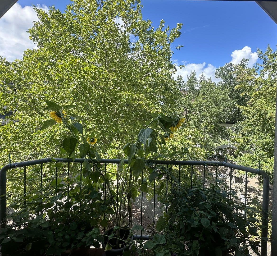 2 bedroom flat to rent, 59 m², Kaiserslautern, Rhineland-Palatinate 2 bedroom flat to rent, 59 m², Kaiserslautern, Rhineland-Palatinate