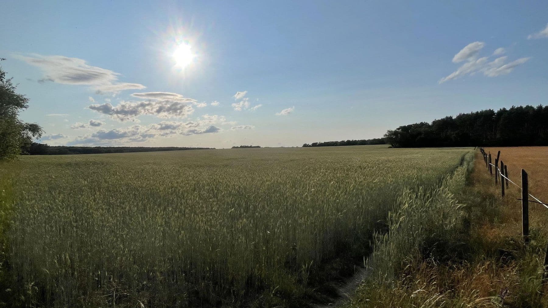 plot for sale, 19,700 m², Schulzendorf, Brandenburg plot for sale, 19,700 m², Schulzendorf, Brandenburg