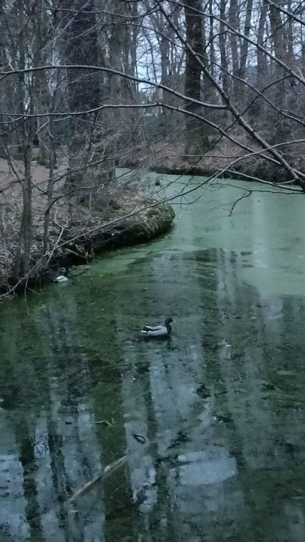 4 bedroom flat for sale, 84 m², Schloßstraße 3, Troisdorf, North Rhine-Westphalia 4 bedroom flat for sale, 84 m², Schloßstraße 3, Troisdorf, North Rhine-Westphalia