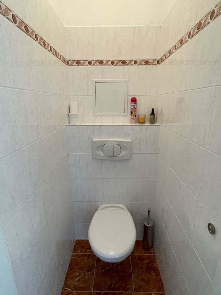 1 bedroom with open-plan kitchen flat to rent, 40 m², Štúrova, Prague, Prague 1 bedroom with open-plan kitchen flat to rent, 40 m², Štúrova, Prague, Prague