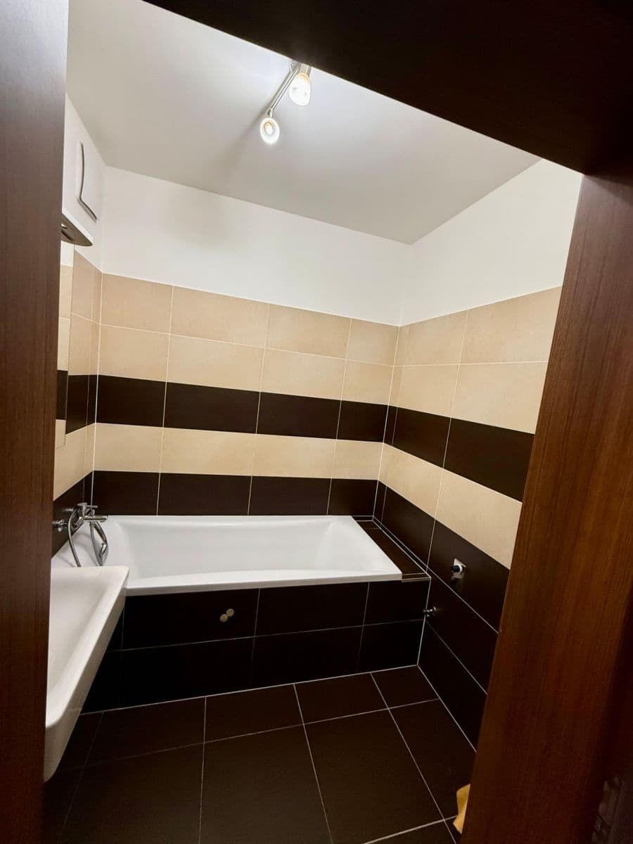 1 bedroom with open-plan kitchen flat to rent, 57 m², Počernická, Prague, Prague 1 bedroom with open-plan kitchen flat to rent, 57 m², Počernická, Prague, Prague