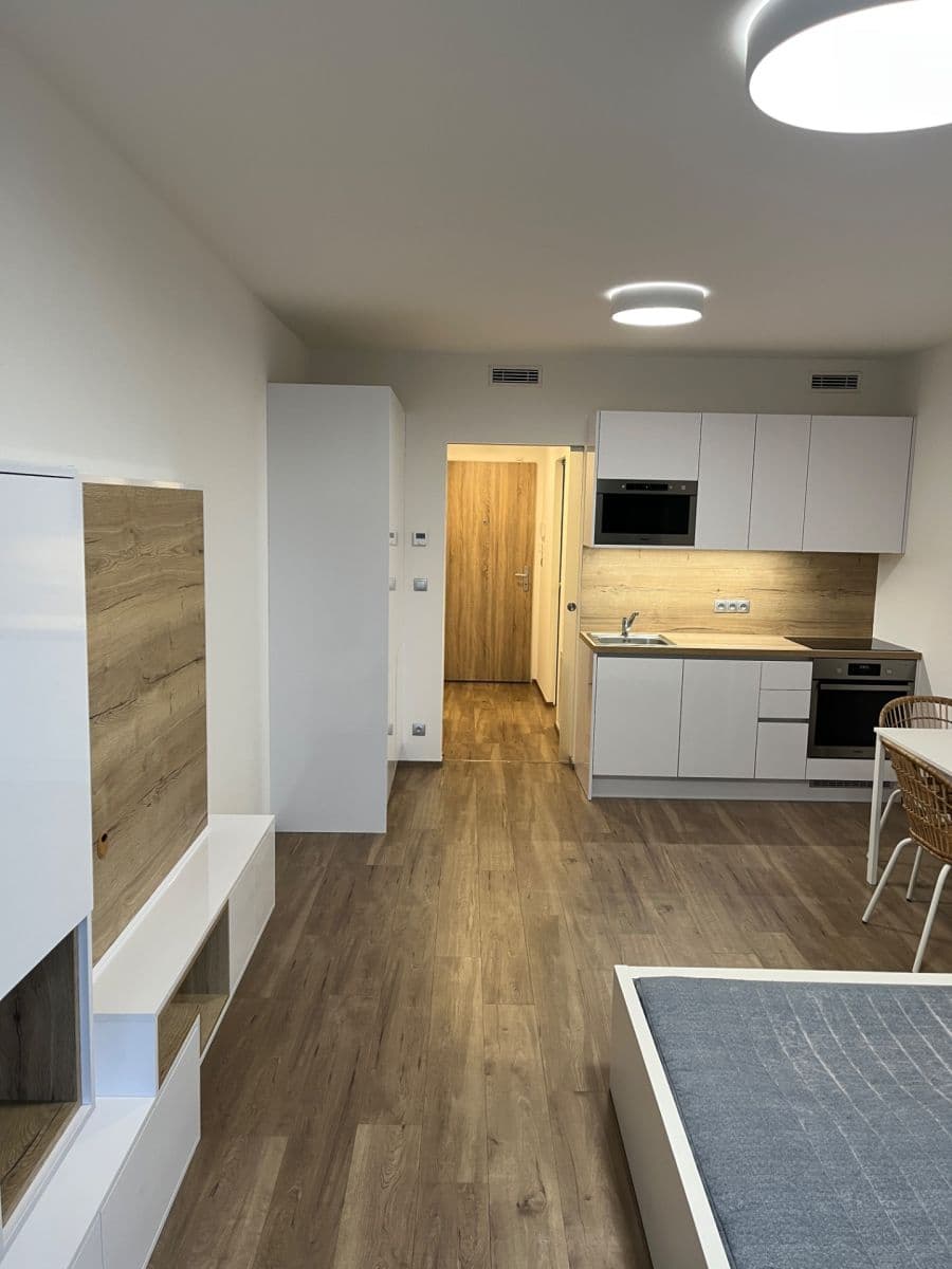 Studio flat to rent, 33 m², Kurta Konráda, Prague, Prague Studio flat to rent, 33 m², Kurta Konráda, Prague, Prague