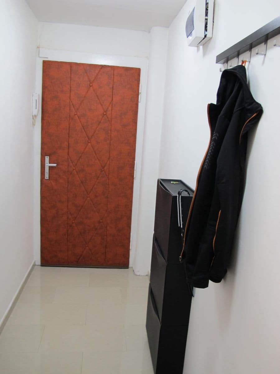 1 bedroom with open-plan kitchen flat to rent, 40 m², Pod Pramenem, Prague, Prague 1 bedroom with open-plan kitchen flat to rent, 40 m², Pod Pramenem, Prague, Prague