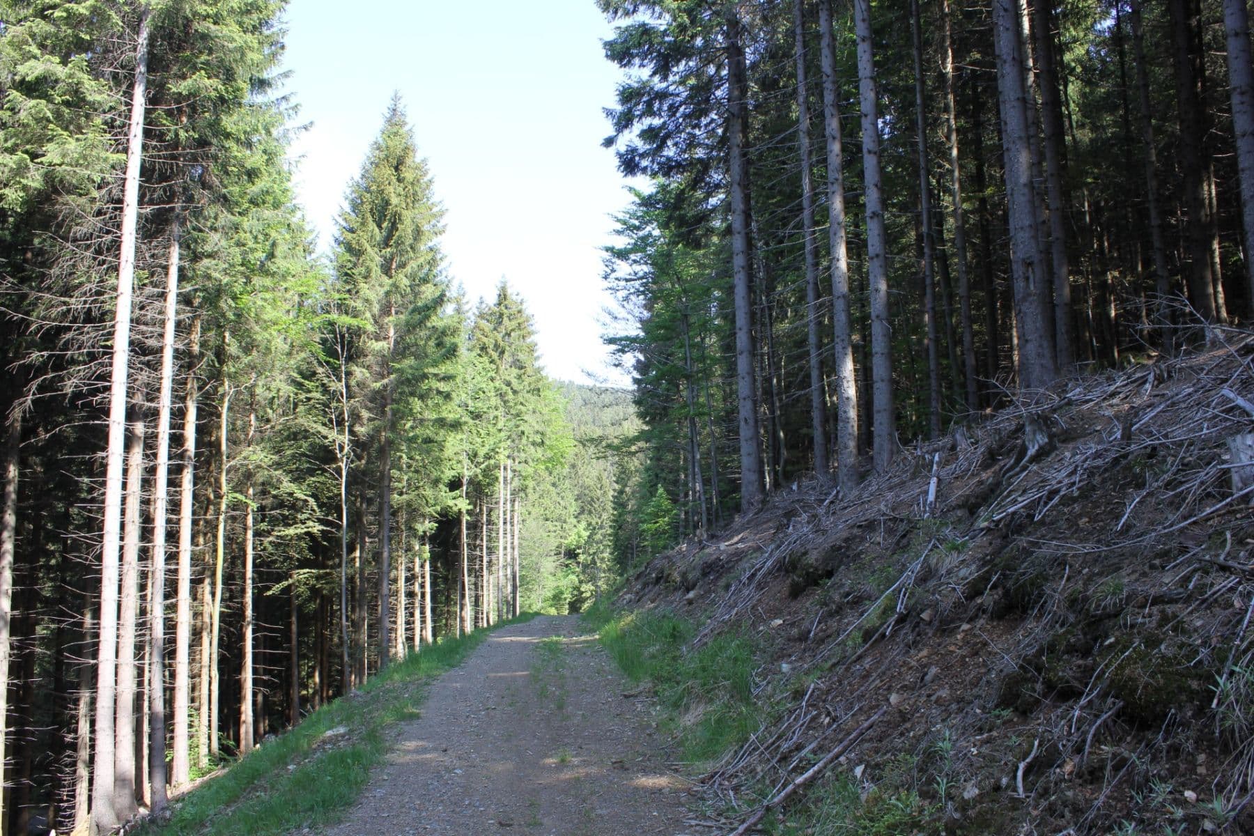 1 bedroom with open-plan kitchen flat for sale, 52 m², Lipová-lázně, Olomoucký Region 1 bedroom with open-plan kitchen flat for sale, 52 m², Lipová-lázně, Olomoucký Region