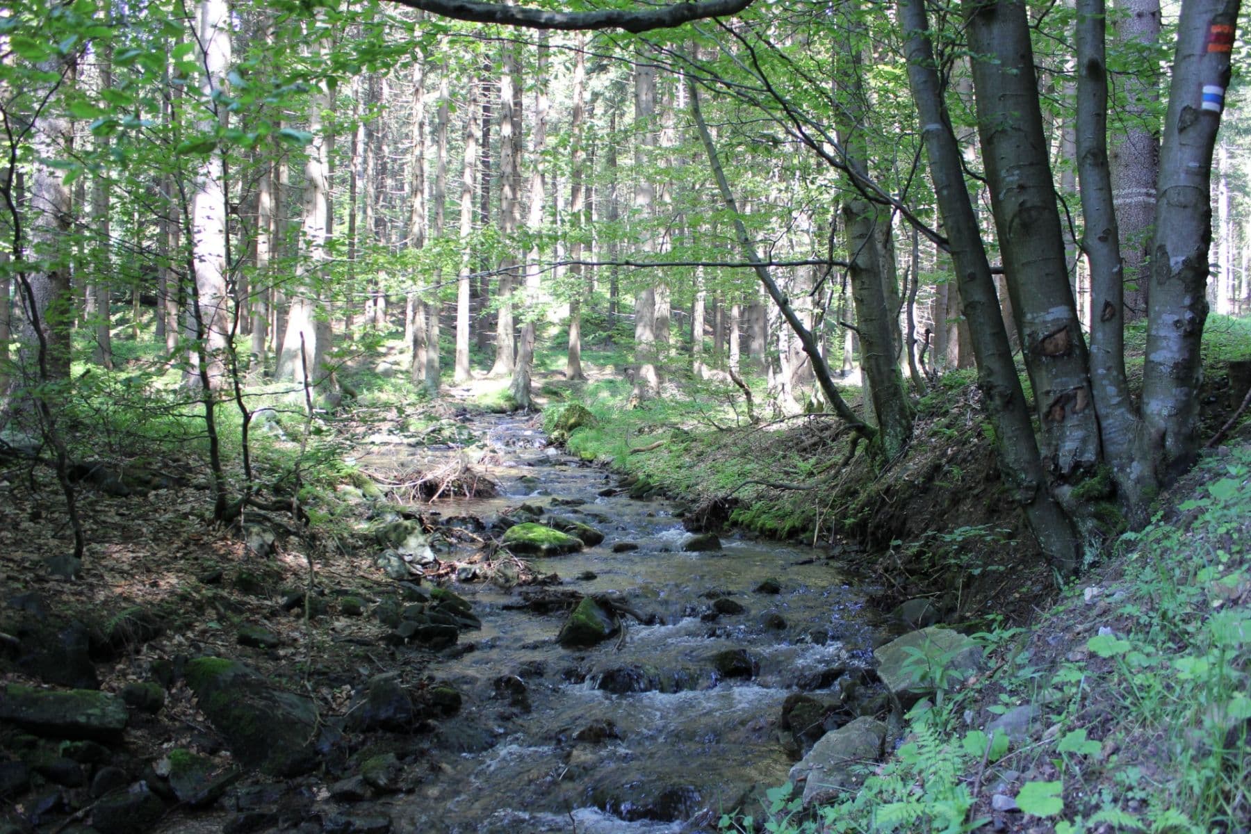 1 bedroom with open-plan kitchen flat for sale, 52 m², Lipová-lázně, Olomoucký Region 1 bedroom with open-plan kitchen flat for sale, 52 m², Lipová-lázně, Olomoucký Region