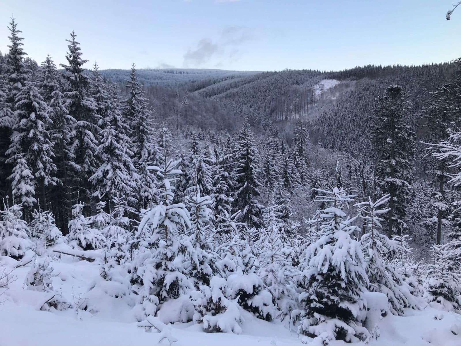 1 bedroom with open-plan kitchen flat for sale, 52 m², Lipová-lázně, Olomoucký Region 1 bedroom with open-plan kitchen flat for sale, 52 m², Lipová-lázně, Olomoucký Region