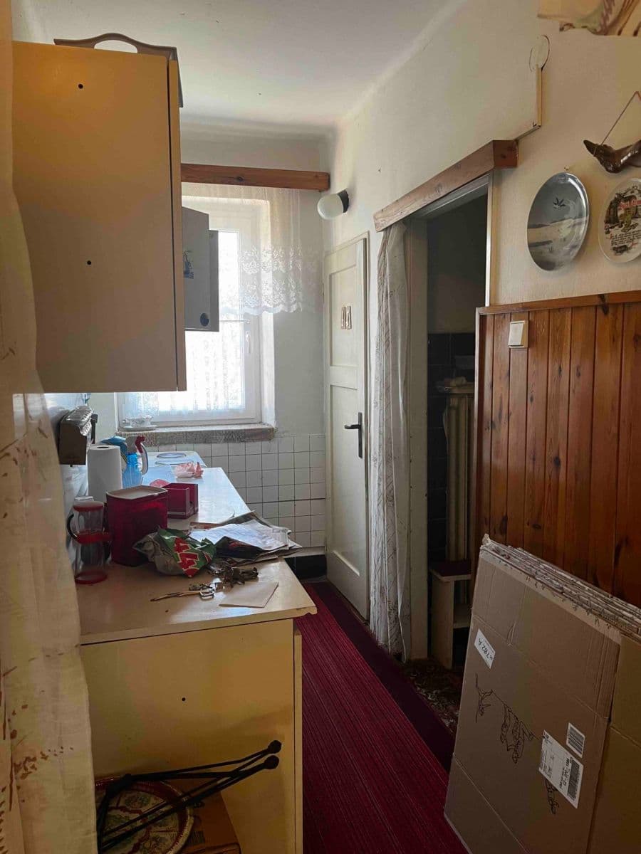 2 bedroom with open-plan kitchen flat for sale, 61 m², Americká, Mariánské Lázně, Karlovarský Region 2 bedroom with open-plan kitchen flat for sale, 61 m², Americká, Mariánské Lázně, Karlovarský Region