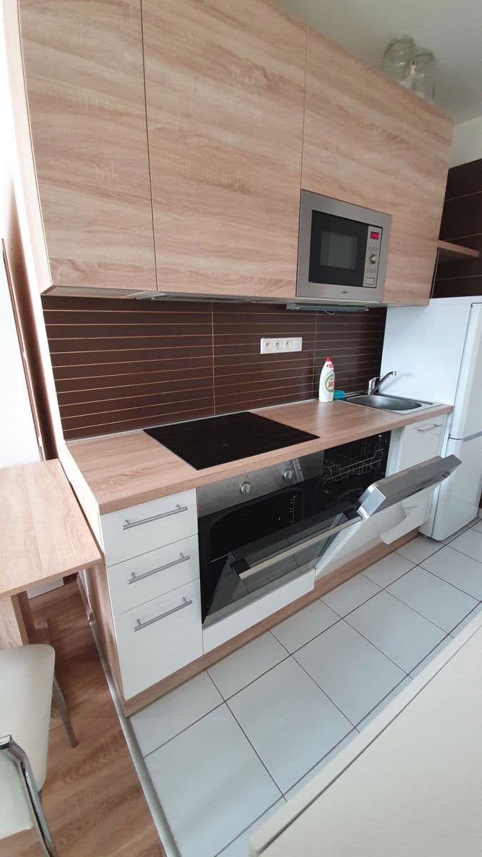 Studio flat to rent, 33 m², Davidovičova, Prague, Prague Studio flat to rent, 33 m², Davidovičova, Prague, Prague