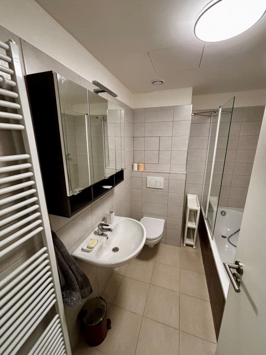 1 bedroom with open-plan kitchen flat to rent, 55 m², K Zelené louce, Plzeň, Plzeňský Region 1 bedroom with open-plan kitchen flat to rent, 55 m², K Zelené louce, Plzeň, Plzeňský Region