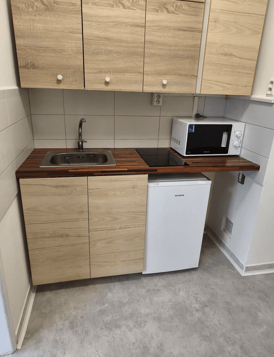 Studio flat to rent, 26 m², Ve Struhách, Prague, Prague Studio flat to rent, 26 m², Ve Struhách, Prague, Prague