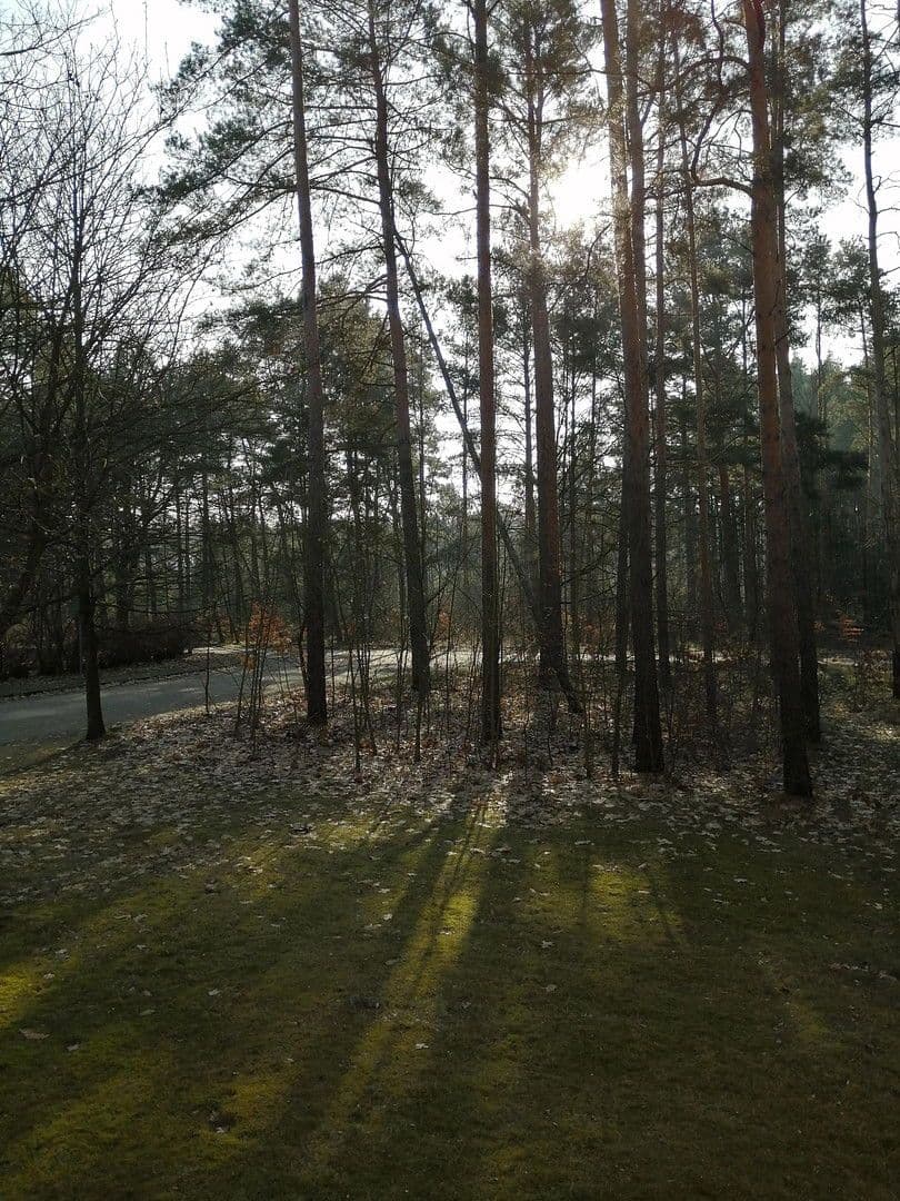 3 bedroom flat to rent, 66 m², Pilzheide 14, Heideblick, Brandenburg 3 bedroom flat to rent, 66 m², Pilzheide 14, Heideblick, Brandenburg